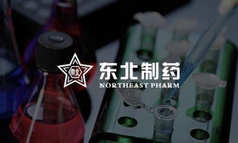 东北制药：数字化支撑国企改革